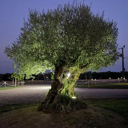 D Hotes Dans Un Domaine Au Calme Proche Du Pal Frühstückspension
